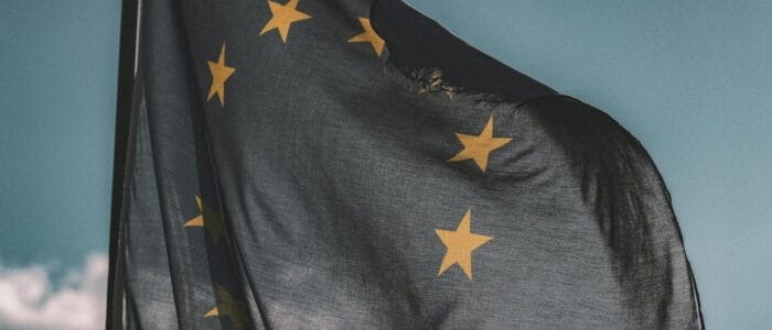 pexels-eberhardgross-1743364-scaled