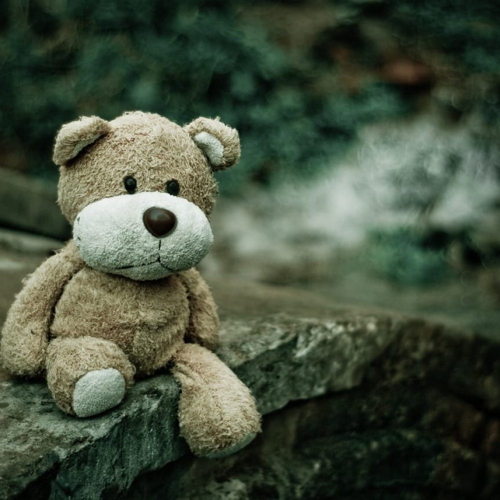 teddy-bear-1835598_1280-1